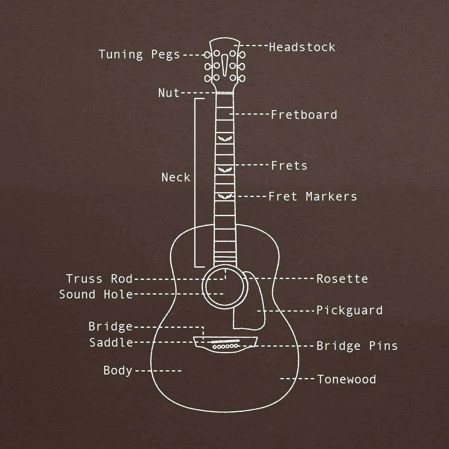 Diagram showing parts of a guitar